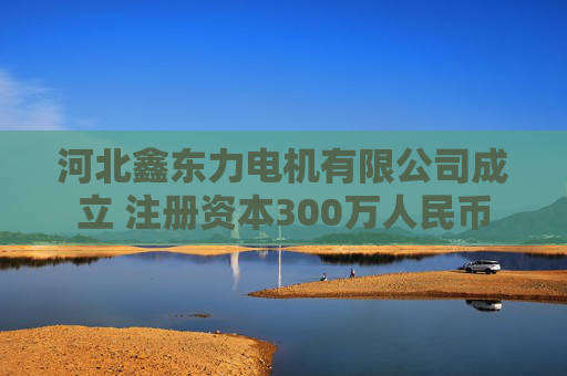 河北鑫东力电机有限公司成立 注册资本300万人民币