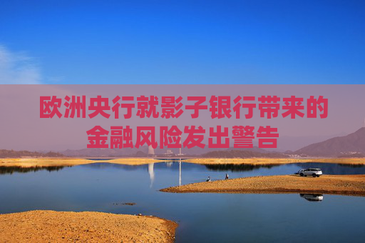 欧洲央行就影子银行带来的金融风险发出警告