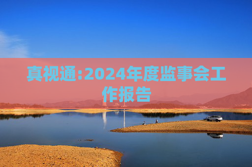 真视通:2024年度监事会工作报告  第1张