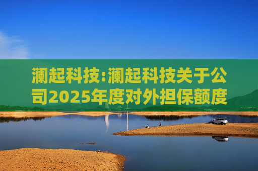 澜起科技:澜起科技关于公司2025年度对外担保额度预计的公告