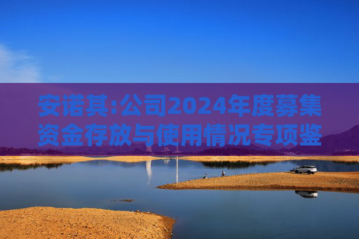 安诺其:公司2024年度募集资金存放与使用情况专项鉴证报告