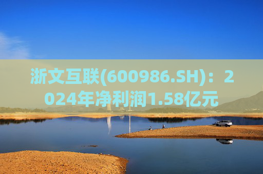 浙文互联(600986.SH)：2024年净利润1.58亿元