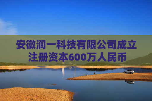 安徽润一科技有限公司成立 注册资本600万人民币