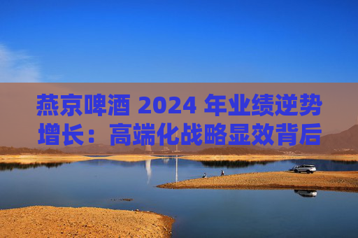 燕京啤酒 2024 年业绩逆势增长：高端化战略显效背后的隐忧