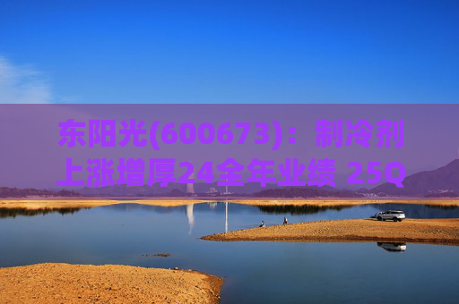东阳光(600673)：制冷剂上涨增厚24全年业绩 25Q1业绩略超预期 液冷与具身智能共创未来
