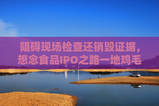 阻碍现场检查还销毁证据，想念食品IPO之路一地鸡毛  第1张