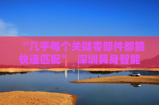 “几乎每个关键零部件都能快速匹配”  深圳具身智能生态先行一步 第1张