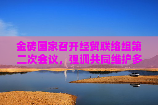 金砖国家召开经贸联络组第二次会议，强调共同维护多边贸易体制，反对单边主义和贸易保护主义
