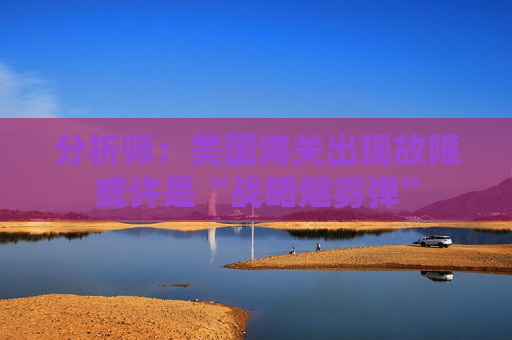 分析师：美国海关出现故障或许是“战略烟雾弹”