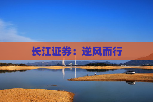 长江证券：逆风而行  第1张