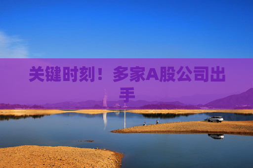 关键时刻！多家A股公司出手