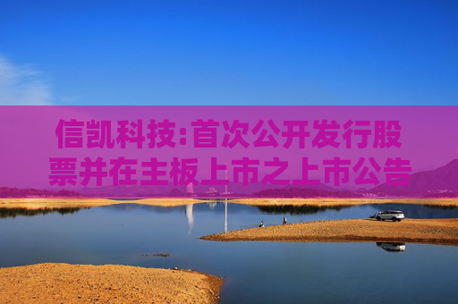 信凯科技:首次公开发行股票并在主板上市之上市公告书  第1张