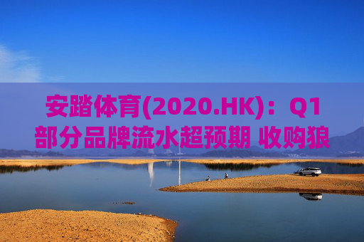 安踏体育(2020.HK)：Q1部分品牌流水超预期 收购狼爪多品牌行稳致远  第1张