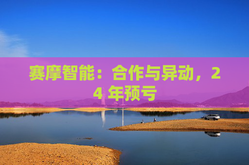 赛摩智能：合作与异动，24 年预亏
