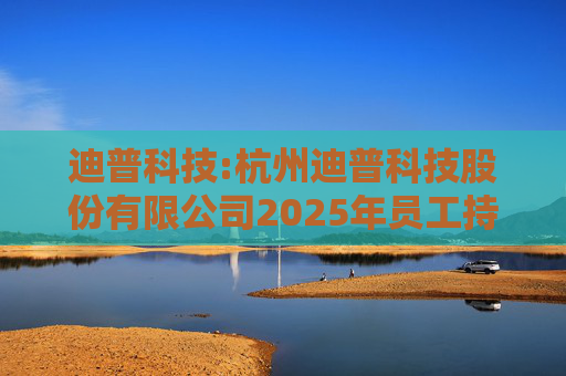 迪普科技:杭州迪普科技股份有限公司2025年员工持股计划管理办法