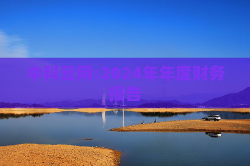 中科云网:2024年年度财务报告