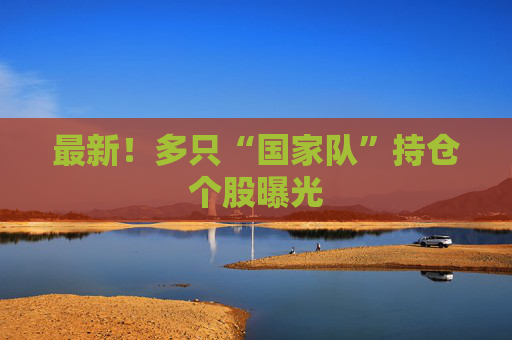 最新！多只“国家队”持仓个股曝光