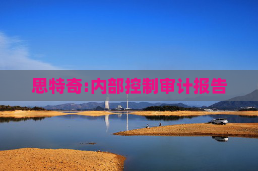 思特奇:内部控制审计报告