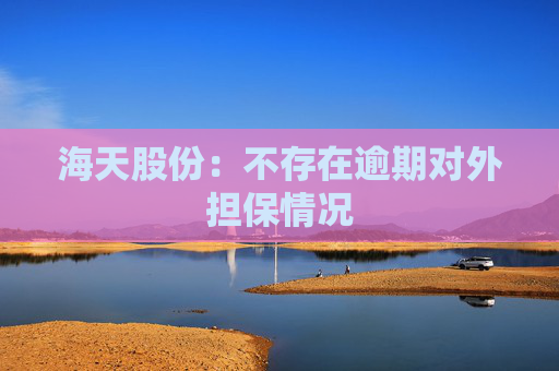 海天股份：不存在逾期对外担保情况  第1张