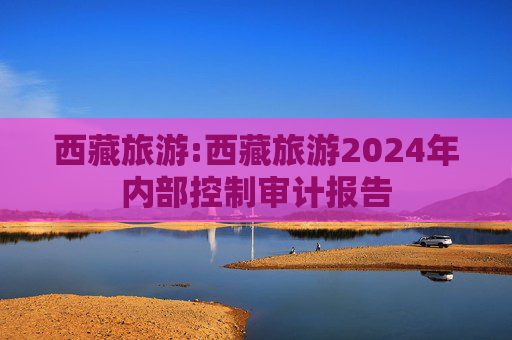 西藏旅游:西藏旅游2024年内部控制审计报告
