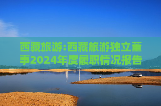 西藏旅游:西藏旅游独立董事2024年度履职情况报告（梅蕴新）