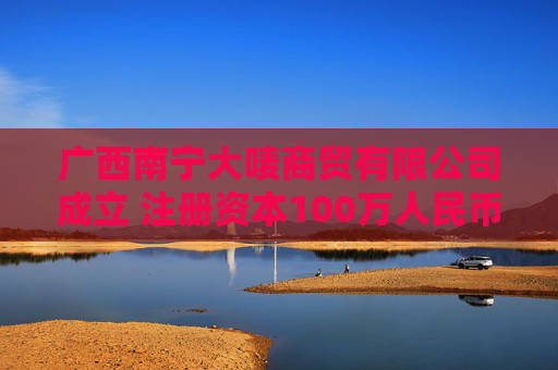 广西南宁大唛商贸有限公司成立 注册资本100万人民币
