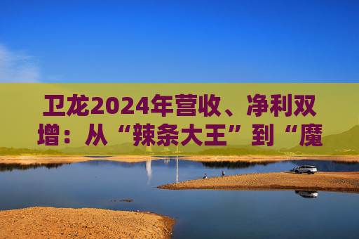 卫龙2024年营收、净利双增：从“辣条大王”到“魔芋巨头”的战略转型与增长密码