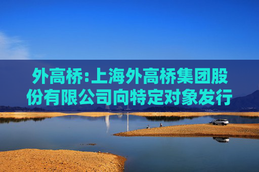 外高桥:上海外高桥集团股份有限公司向特定对象发行A股股票发行情况报告书