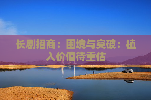 长剧招商：困境与突破：植入价值待重估