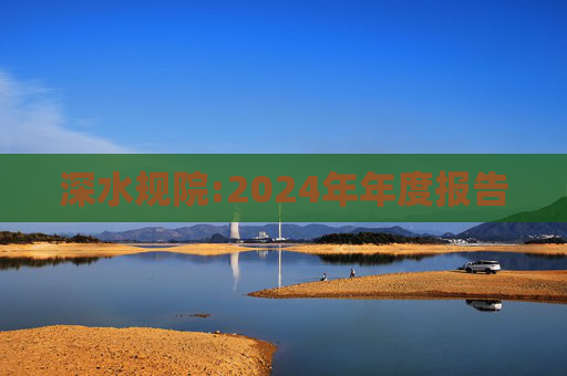 深水规院:2024年年度报告