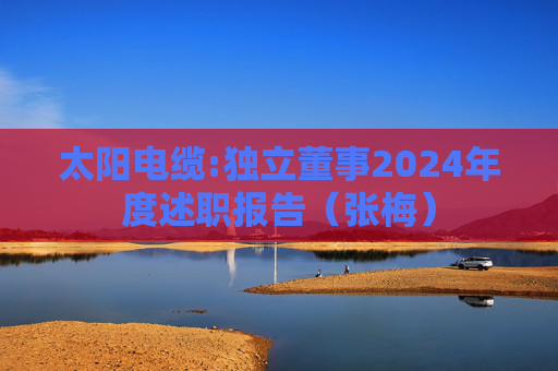 太阳电缆:独立董事2024年度述职报告（张梅）