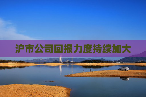 沪市公司回报力度持续加大  第1张