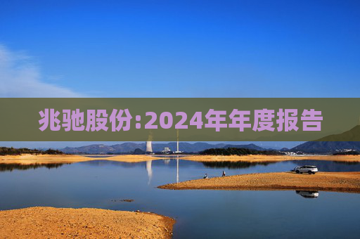 兆驰股份:2024年年度报告