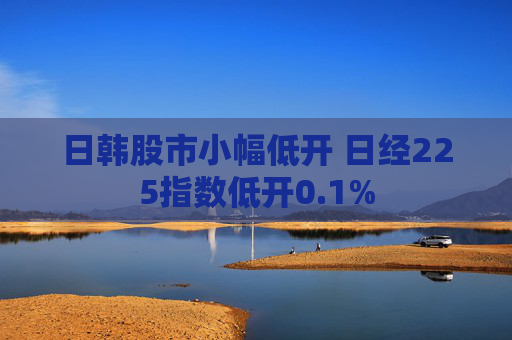 日韩股市小幅低开 日经225指数低开0.1%  第1张