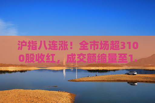 沪指八连涨！全市场超3100股收红，成交额缩量至1.03万亿元  第1张