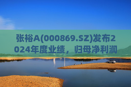 张裕A(000869.SZ)发布2024年度业绩，归母净利润3.05亿元，同比下降42.68%  第1张