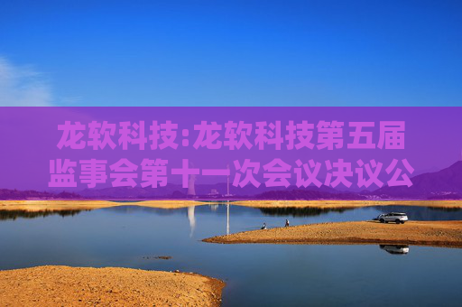 龙软科技:龙软科技第五届监事会第十一次会议决议公告