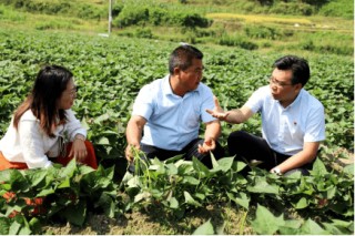 总保费迈上7000亿平台，中国人寿递交新时代为民答卷