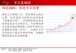 中天期货:商品指数继续调整 白银大阴线