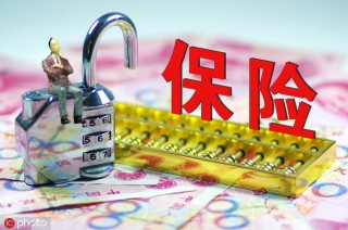 如何购买诉讼保险？东莞公积金查询及车险投保方式是什么？