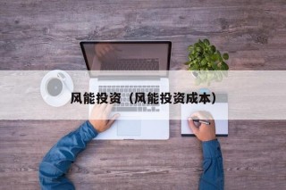 风能投资（风能投资成本）