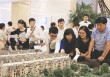 如何了解特定楼盘？铂宫情况怎样？