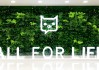 轻松健康IPO“暗礁”：明星产品轻松保，进坑易出坑难？|BUG