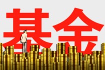 基金净值波动由什么决定？