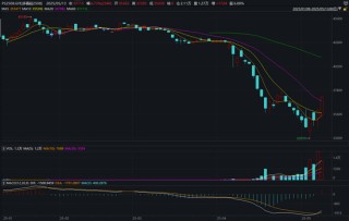 多晶硅行业有好转预期，期价收贴水大幅上涨