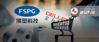 51亿买公司捆绑69亿负债，佛塑科技“蛇吞象”并购是赚是亏？