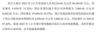 两大国内细分龙头，明日申购