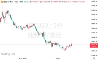 比特币反弹后劲不足？分析师警告：小心“死猫跳”！