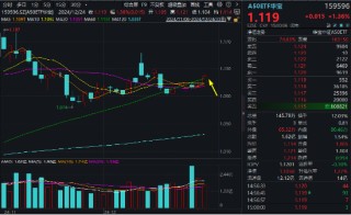 “漂亮50”年末冲刺！宁王等大权重联袂拉涨，A50ETF华宝（159596）涨1.36%连收多根均线， 换手率断层领先