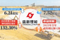 连拉“一”字跌停！盛新锂能股价“过山车”背后，是技术回调还是泡沫破裂？